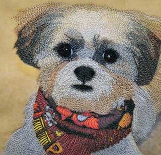 Thread Sketching to Enhance a Photograph - Virtual Workshop Kit - Quilters Unlimited