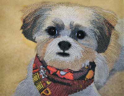 Thread Sketching to Enhance a Photograph - Virtual Workshop Kit - Quilters Unlimited